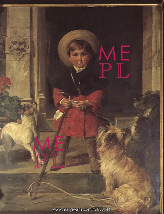  : Boy and Dogs