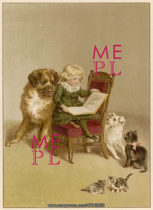 : BOY WITH DOGS & CATS : BOY WITH DOGS & CATS