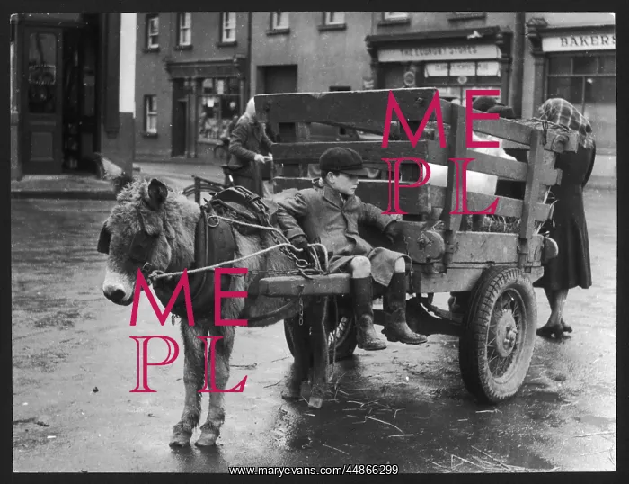 : BOY ON A DONKEY CART : BOY ON A DONKEY CART