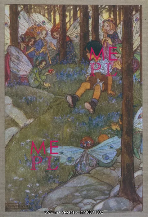 : Boy enchanted by the fairies of the forest : Boy enchanted by the fairies of the forest