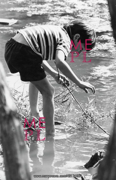 : Boy exploring in shallow water : Boy exploring in shallow water
