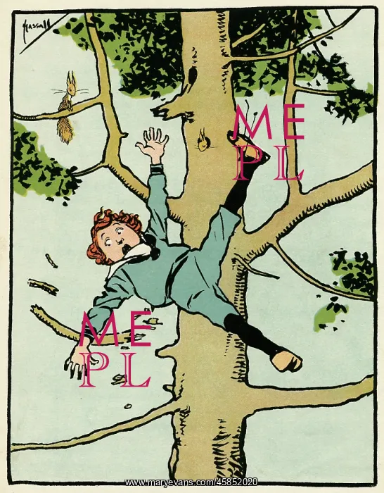  : BOY FALLS FROM A TREE