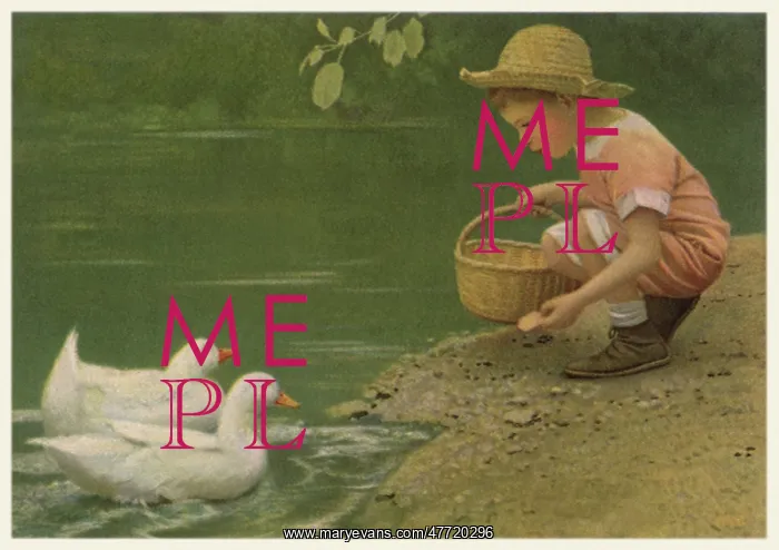  : Boy Feeding Ducks