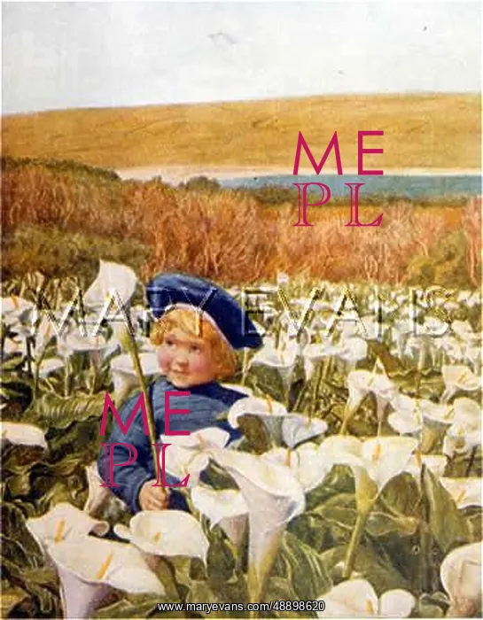 : BOY IN FIELD OF LILIES : BOY IN FIELD OF LILIES