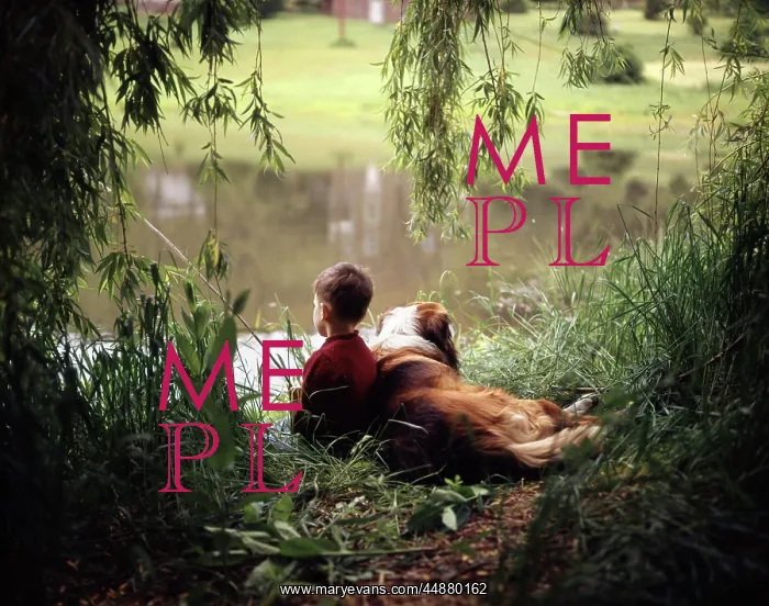  : Boy Fishing With His Dog By His