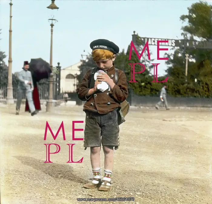 : Boy fondling a pigeon : Boy fondling a pigeon