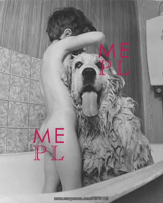 : Boy giving dog a bath : Boy giving dog a bath