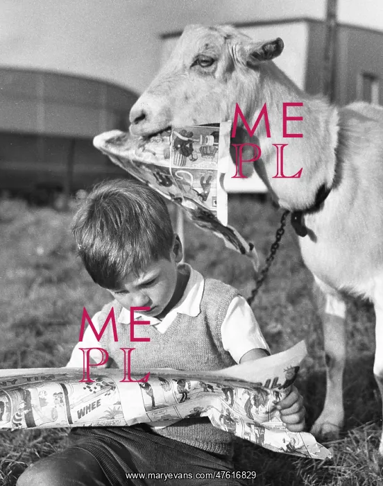 : Boy and goat with comic magazine : Boy and goat with comic magazine