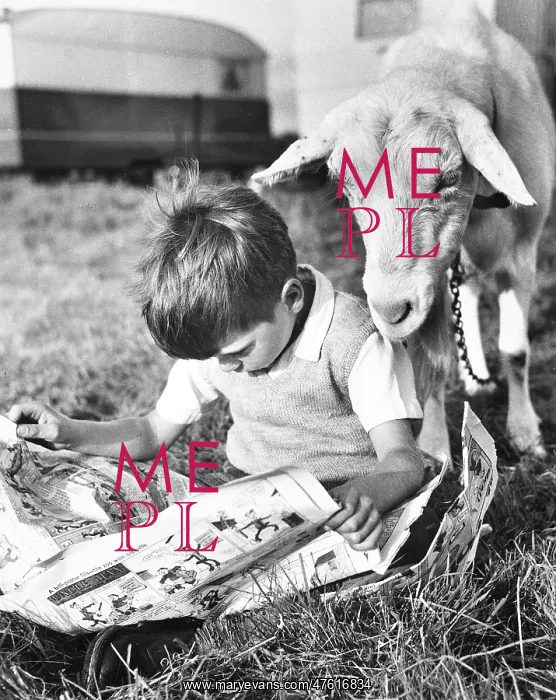 : Boy and goat with comic magazine : Boy and goat with comic magazine