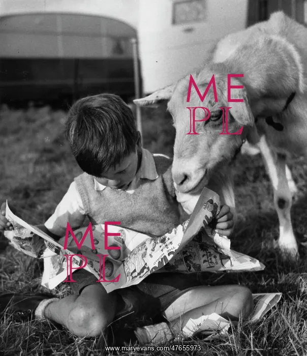 : Boy and goat with comic magazine : Boy and goat with comic magazine