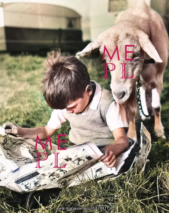 : Boy and goat with comic magazine : Boy and goat with comic magazine