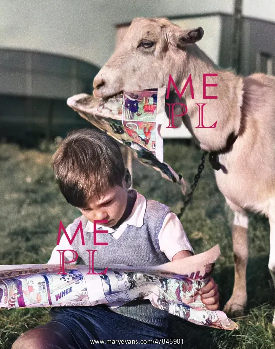 : Boy and goat with comic magazine : Boy and goat with comic magazine