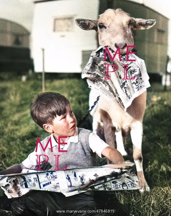 : Boy and goat with comic magazine : Boy and goat with comic magazine