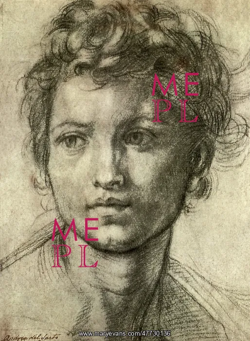 : Boy with Head Turned, by Andrea del Sarto : Boy with Head Turned, by Andrea del Sarto