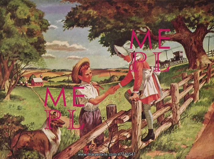  : Boy helps Girl over Fence
