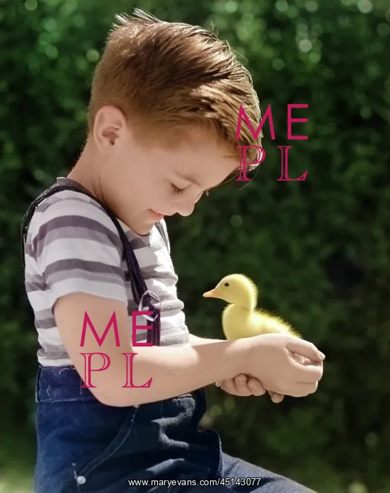 : Boy Holding Baby Duck Smiling Summer : Boy Holding Baby Duck Smiling Summer