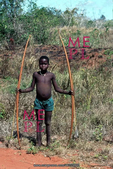 : Boy holding palm leaf ribs used to make scapers that : Boy holding palm leaf ribs used to make scapers that