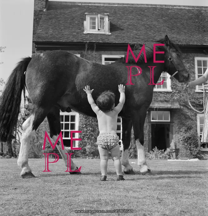 : Boy and horse : Boy and horse