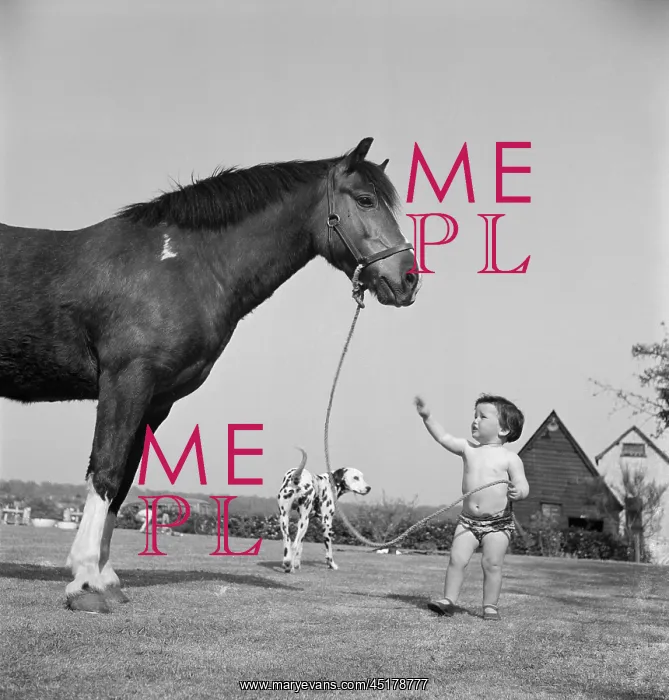 : Boy and horse : Boy and horse