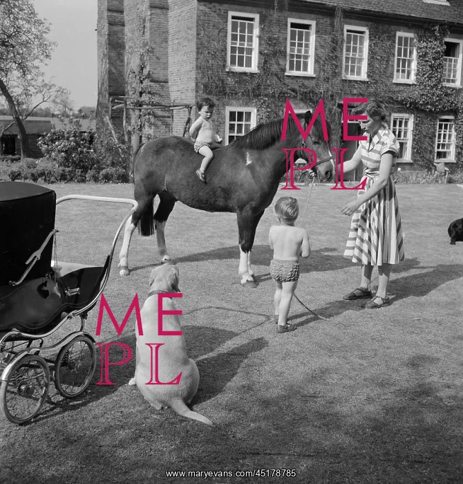 : Boy and horse : Boy and horse