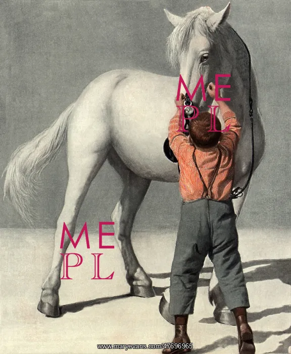  : Boy with Horse