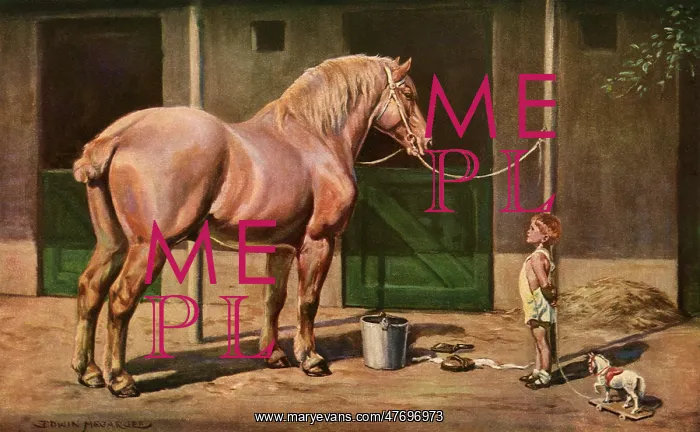 : Boy and Horse Take Stock : Boy and Horse Take Stock