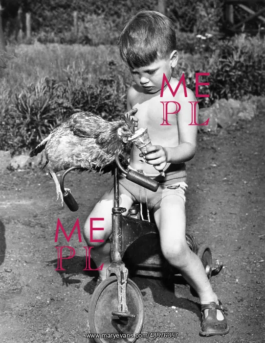 : Boy with ice cream and chicken : Boy with ice cream and chicken