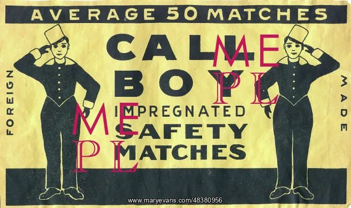 : Call Boy Impregnated Safety Matches : Call Boy Impregnated Safety Matches
