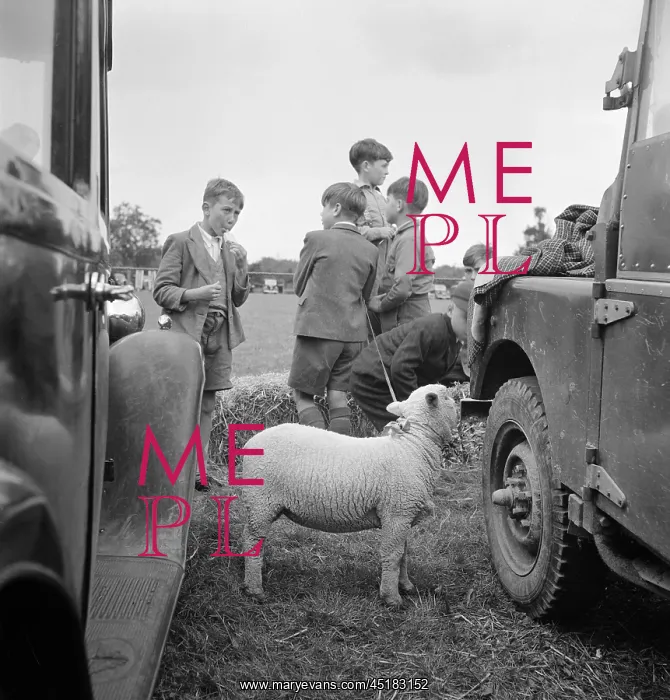 : Boy With Lamb : Boy With Lamb
