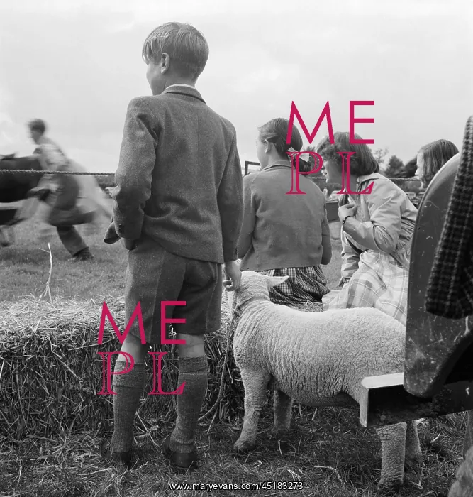 : Boy With Lamb : Boy With Lamb