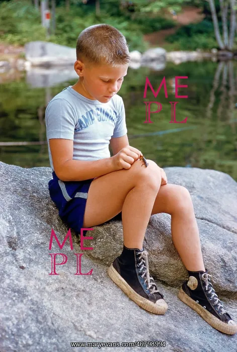 : boy - lizard - lifestyles - summer camp : boy - lizard - lifestyles - summer camp