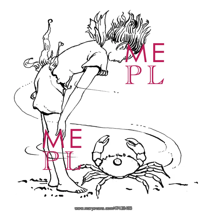 : Boy looking at crab : Boy looking at crab