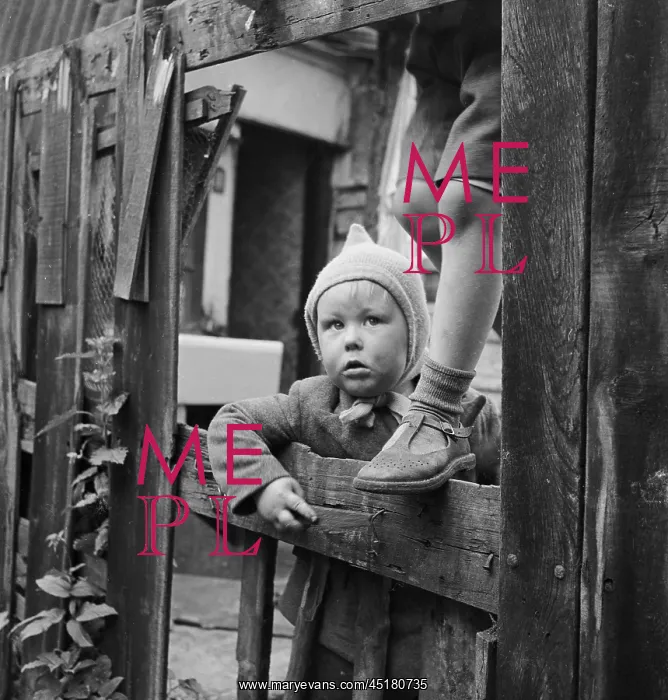 : Boy looking through fence : Boy looking through fence