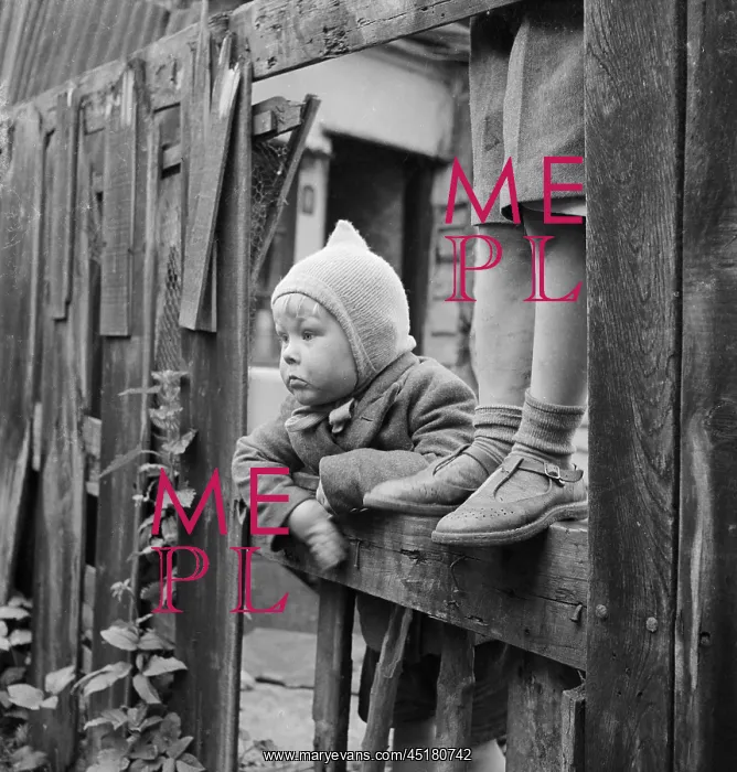 : Boy looking through fence : Boy looking through fence