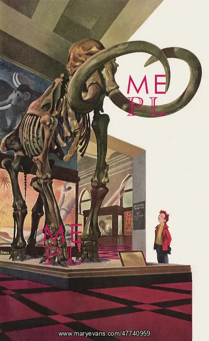  : Boy looks at Mammoth Skeleton