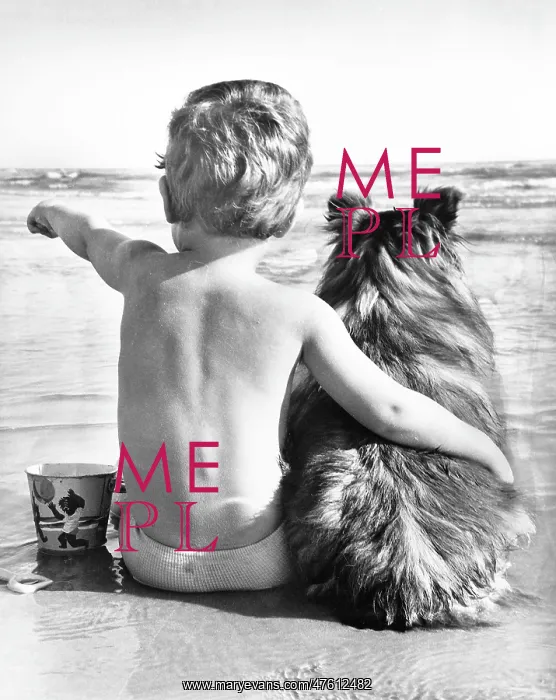 : A boy and his pet dog sitting on a beach : A boy and his pet dog sitting on a beach