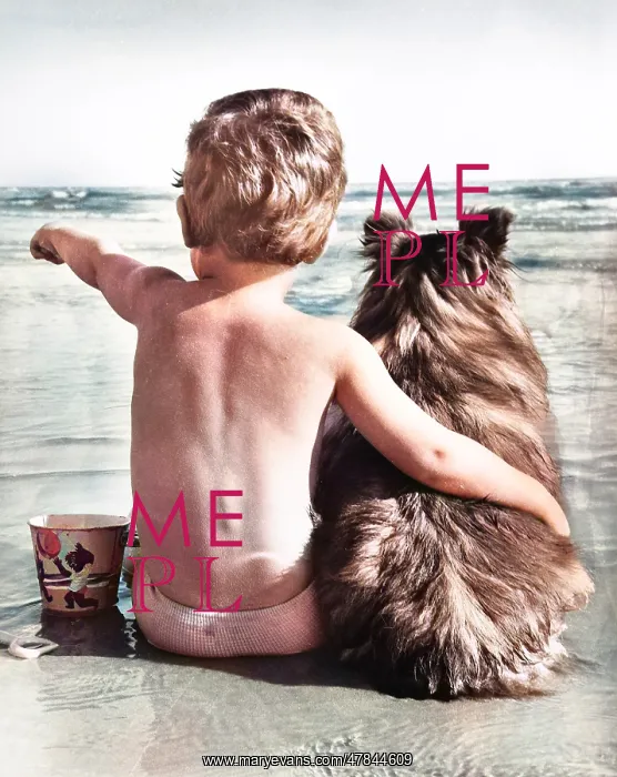 : A boy and his pet dog sitting on a beach : A boy and his pet dog sitting on a beach
