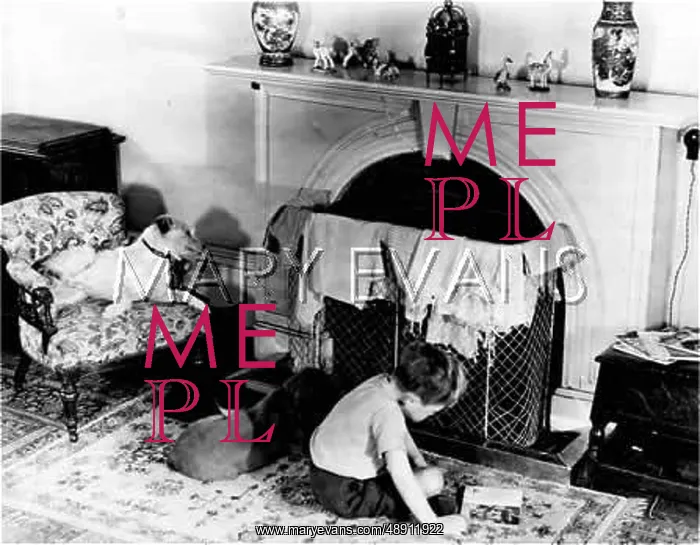 : BOY WITH PET DOGS & CAT : BOY WITH PET DOGS & CAT