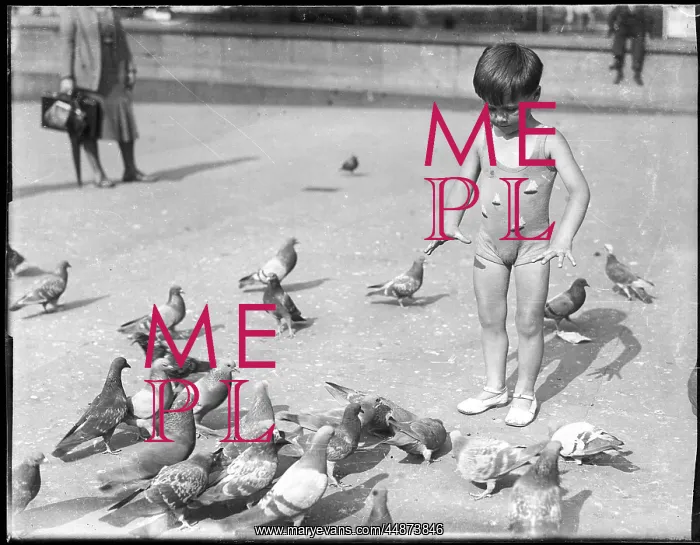: BOY WITH PIGEONS : BOY WITH PIGEONS