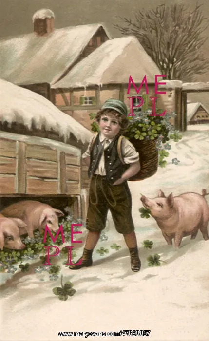 : Boy and Pigs in Winter : Boy and Pigs in Winter