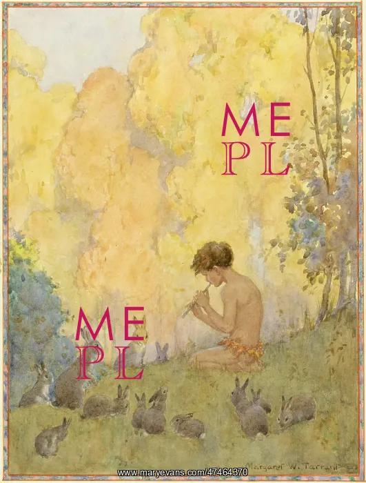  : A boy playing pipes to rabbits