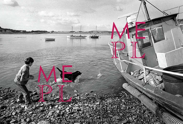 : A boy plays with a black dog in the harbour at Garlieston : A boy plays with a black dog in the harbour at Garlieston