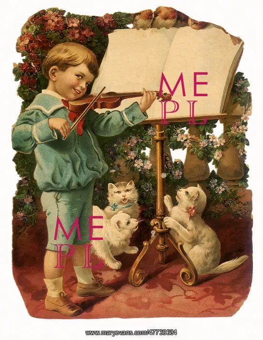  : Boy plays Violin with Cats