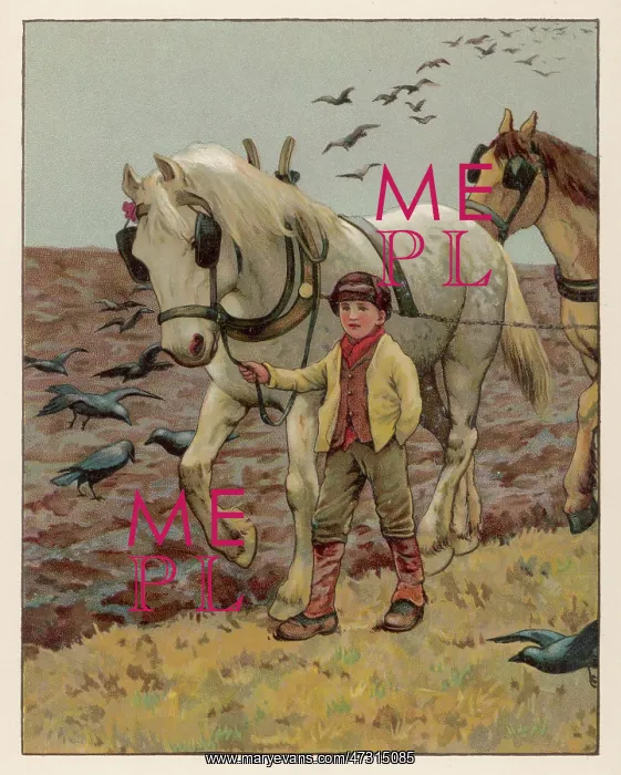  : BOY AND PLOUGH HORSE