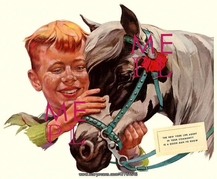 : Boy and His Pony : Boy and His Pony