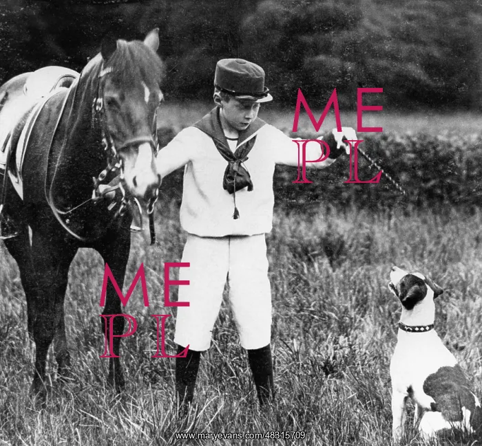 : A boy with pony and dog, 1910 : A boy with pony and dog, 1910