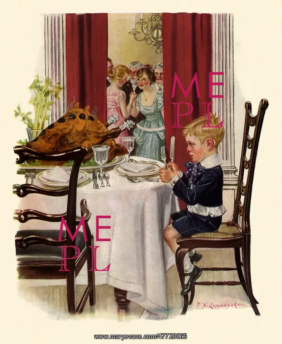  : Boy Prepares For Turkey
