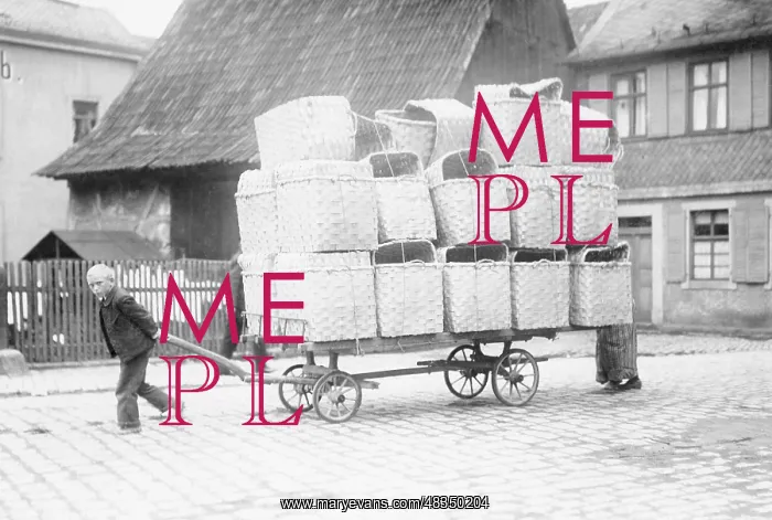 : Boy pulling a ladder wagon with basketry in Upper Franconia : Boy pulling a ladder wagon with basketry in Upper Franconia