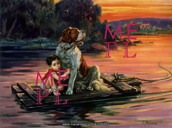  : Boy, Raft, St Bernard