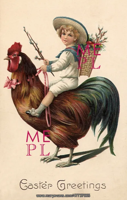  : Boy riding Giant Rooster